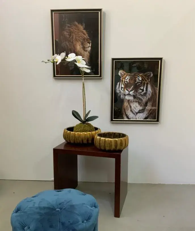 Decoração Ouro - Imagem 9