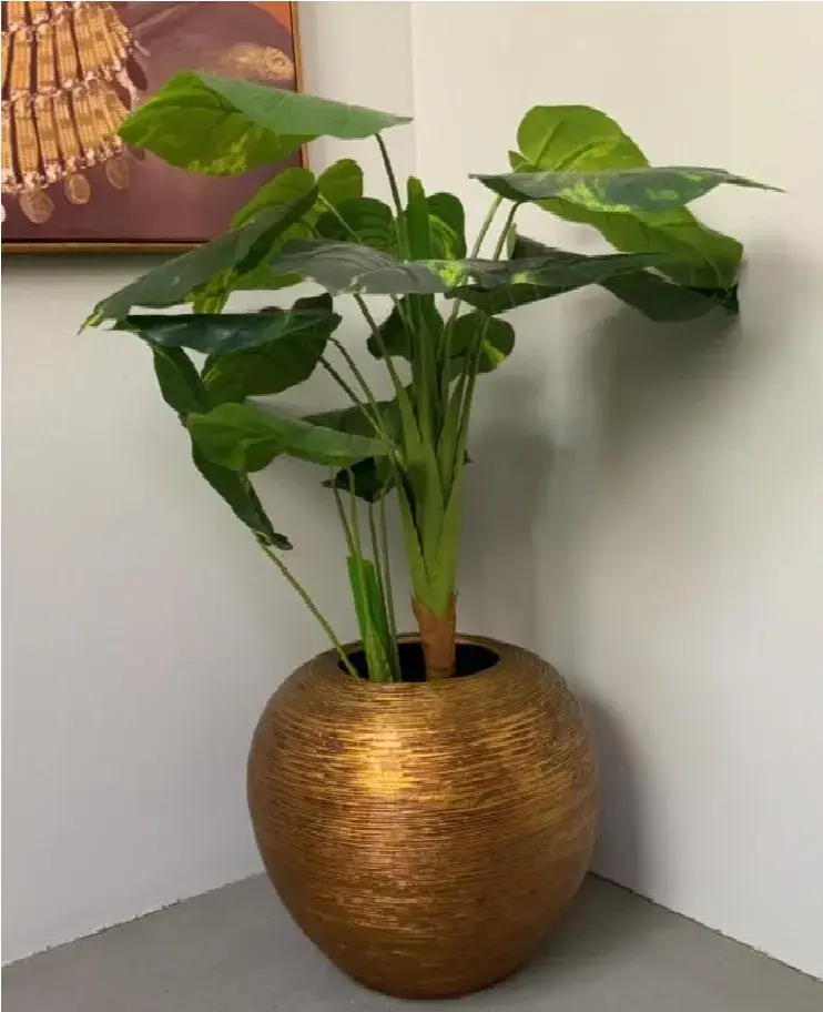 Decoração Ouro - Imagem 12