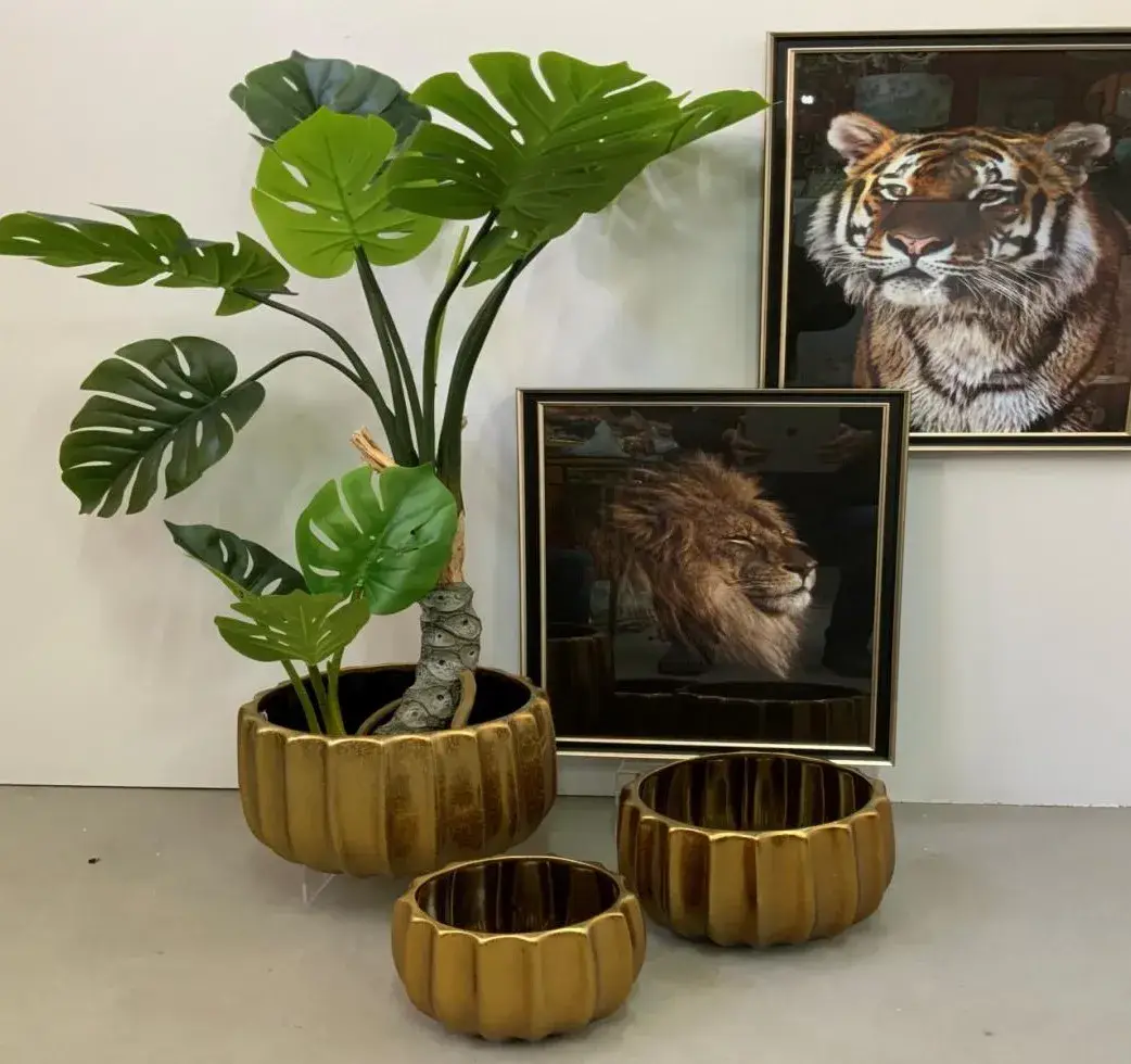 Decoração Ouro - Imagem 15