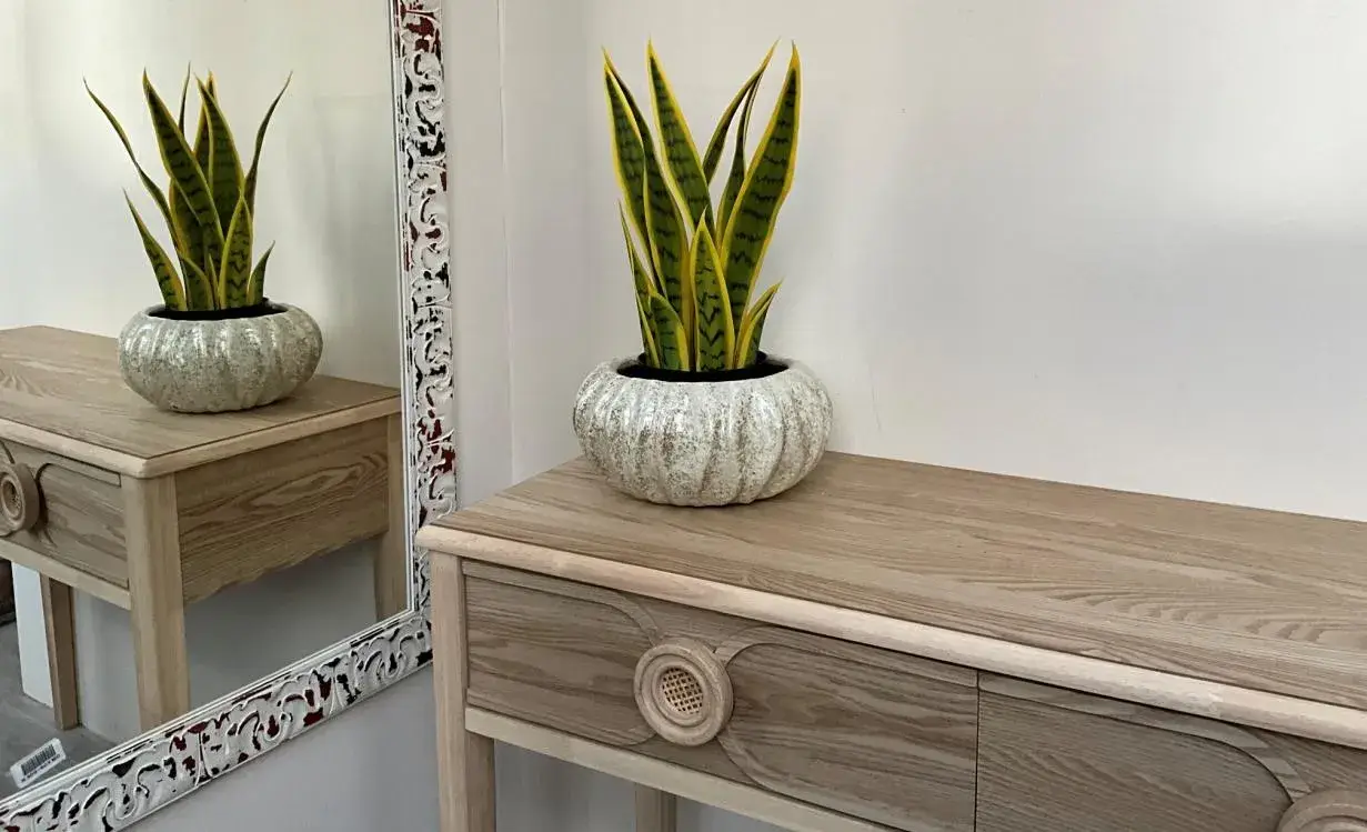 Decoração Diversos - Imagem 33