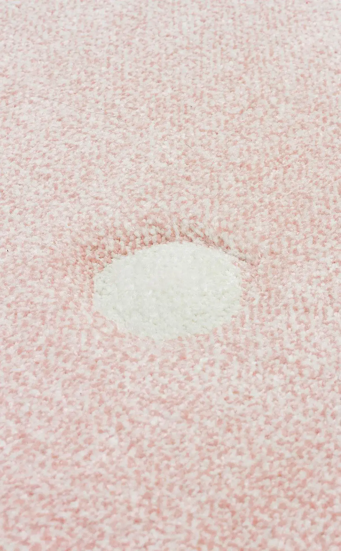 Tapete Colorful - Imagem 5