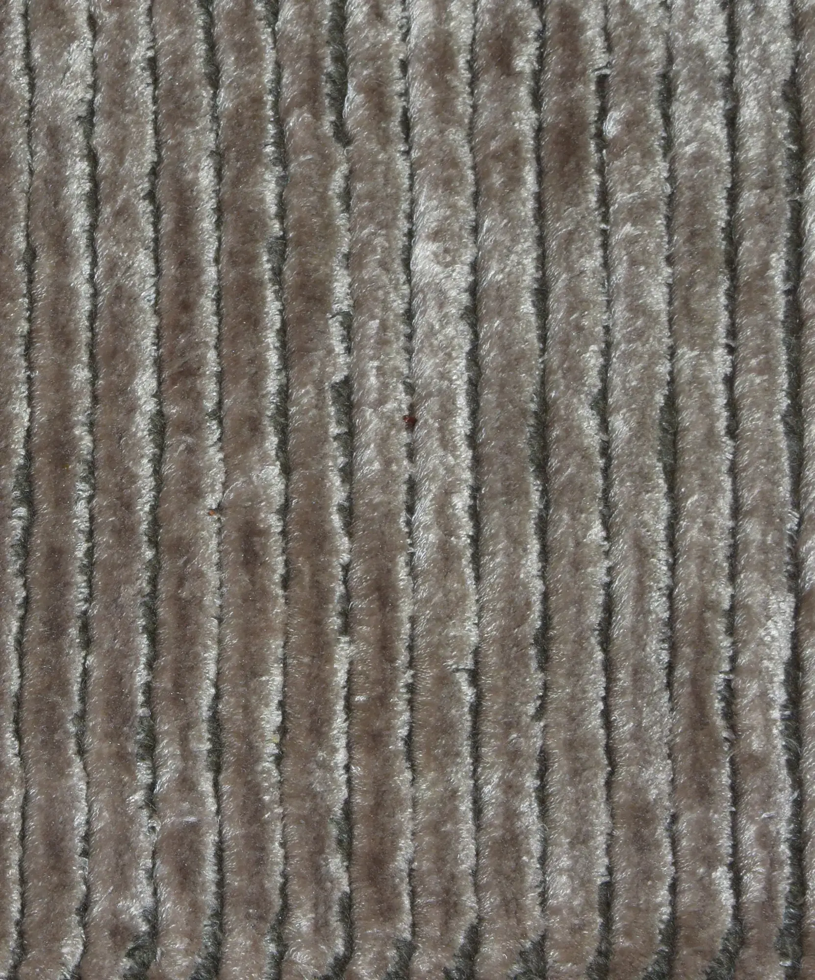 Tapete Siena - Imagem 6